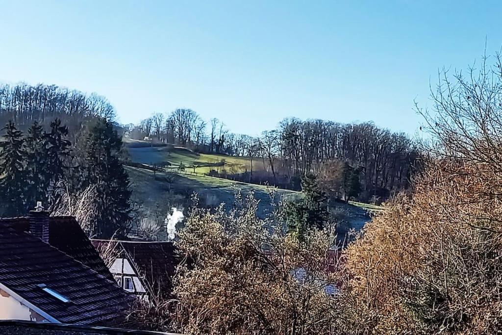 Kleine, Gemuetliche Dachgeschosswohnung Laudenbach  Exterior photo